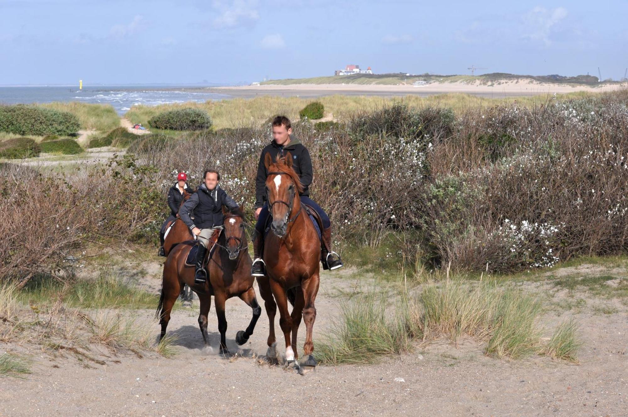 B&B Aquavit Knokke-Heist Esterno foto